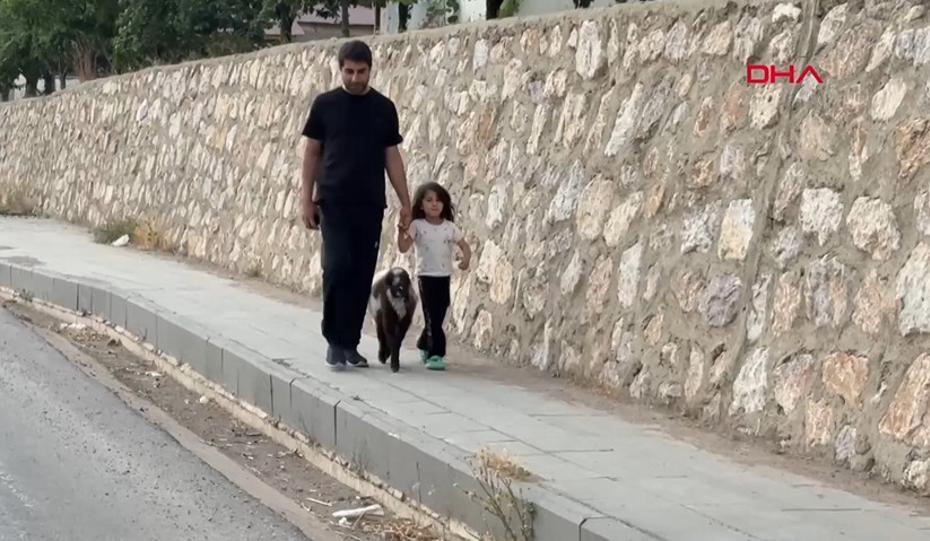 Annelenmeyen Kuzuyu Sevgiyle Büyüten Babalık Duruşu