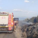 İzmir itfaiye ekipleri Dikili'deki orman yangınına müdahale etti – GÜNDEM