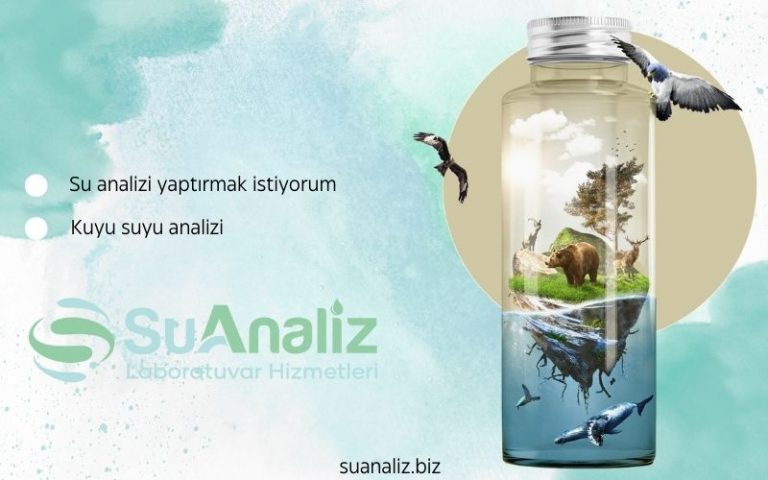 Kuyu Suyu Analizinin Sağlık Üzerindeki Etkileri ve Önemi