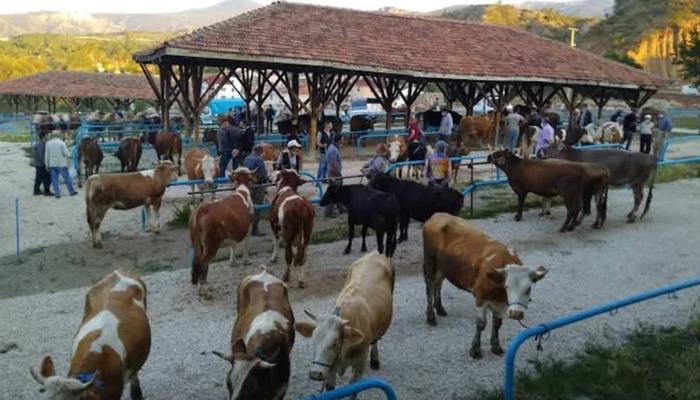 Bir ilçede hastalık alarmı: Kurban pazarı kapatıldı, 25 mahalle ve 15 köy karantinaya alındı!
