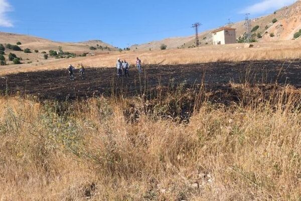 Türkiye orman yangınlarıyla mücadele ediyor… Tunceli’de çıkan arazi yangınına söndürüldü