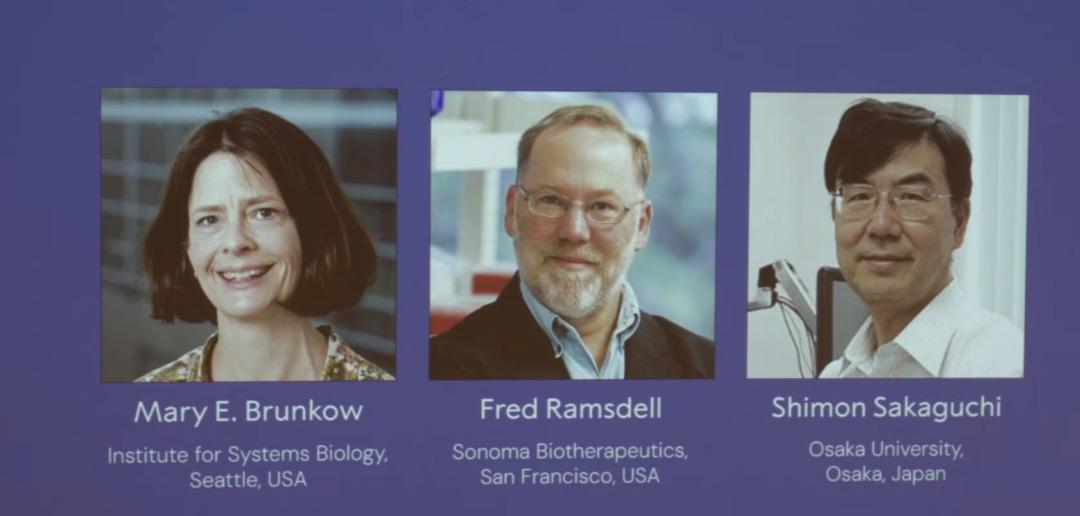 2025 Nobel Tıp Ödülü'nün sahipleri açıklandı! 2025 Nobel Tıp Ödülü'nü kim kazandı? 3