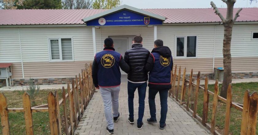 Muş’ta dolandırıcılıktan aranıyordu, yakayı ele verdi!