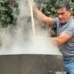 Ormanda Doğal Olarak Yetişiyor: Litresi 1000 Lira, Geçen Yıl 400 Liraydı!