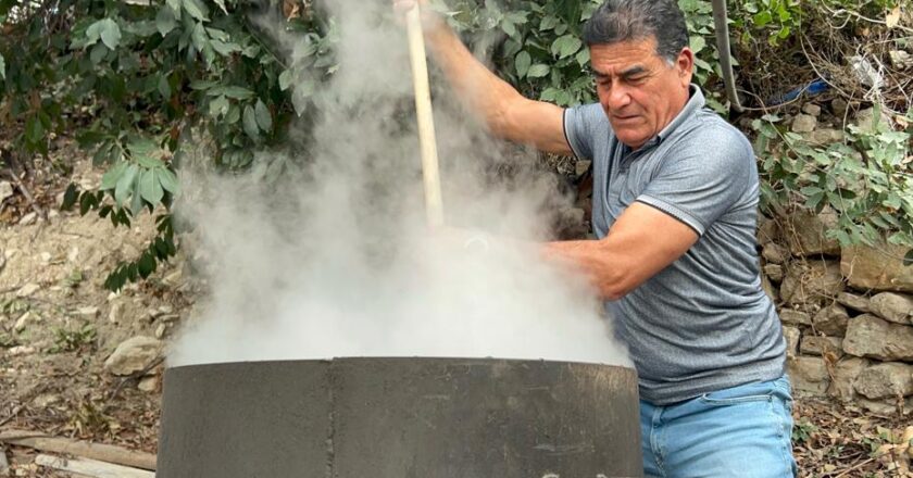 Ormanda Doğal Olarak Yetişiyor: Litresi 1000 Lira, Geçen Yıl 400 Liraydı!