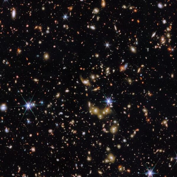 Çin, ‘Göksel Saray’ istasyonuna dört siyah fare gönderdi