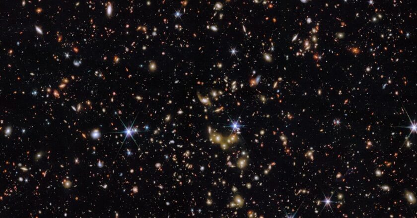 Çin, ‘Göksel Saray’ istasyonuna dört siyah fare gönderdi